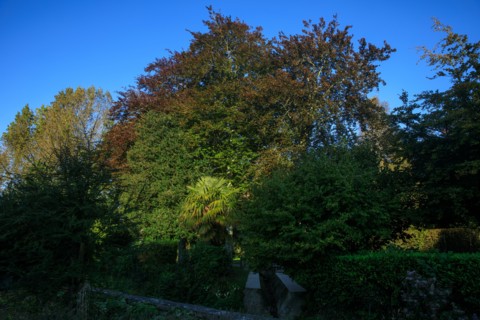 Valognes, Manche