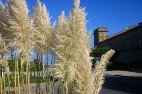 Cherbourg-en-Cotentin, Manche, France