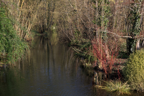 Amiens, Somme