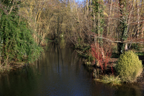 Amiens, Somme