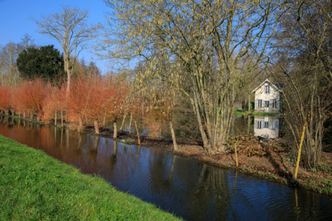 Amiens, Somme