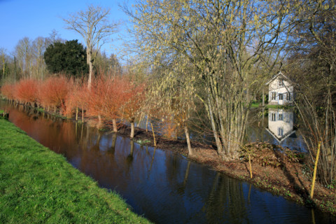 Amiens, Somme