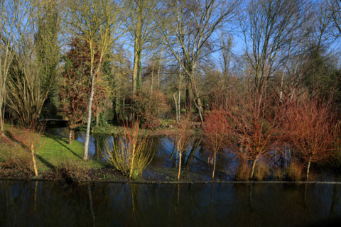 Amiens, Somme