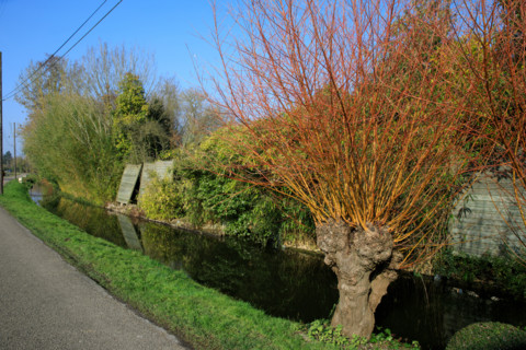 Amiens, Somme