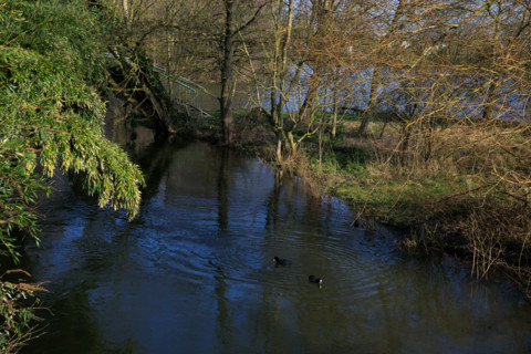 Amiens, Somme