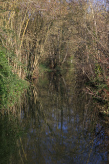 Amiens, Somme