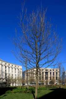 Paris, place de Catalogne