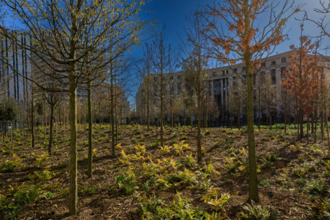 Paris, Place de Catalogne