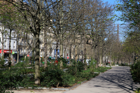 Paris, boulevard Pasteur