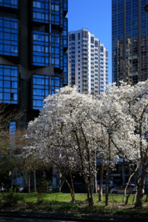 Paris, Beaugrenelle district