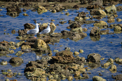 Yport, Seine-Maritime