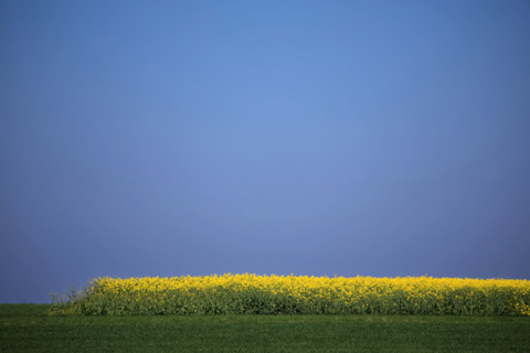 La Poterie-Cap d'Antifer, Seine-Maritime