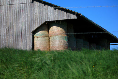 La Poterie-Cap d'Antifer, France