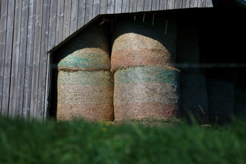 La Poterie-Cap d'Antifer, France
