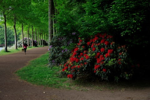 Flers, Orne, France
