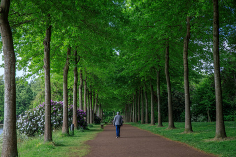 Flers, Orne