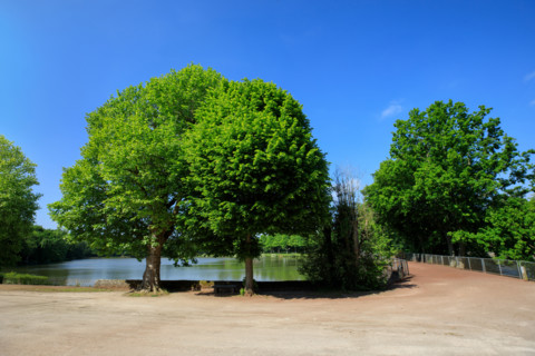 Flers, Orne