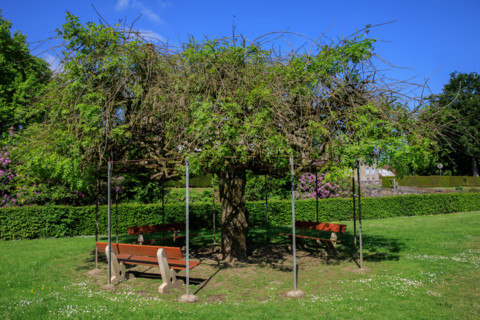 Flers, Orne