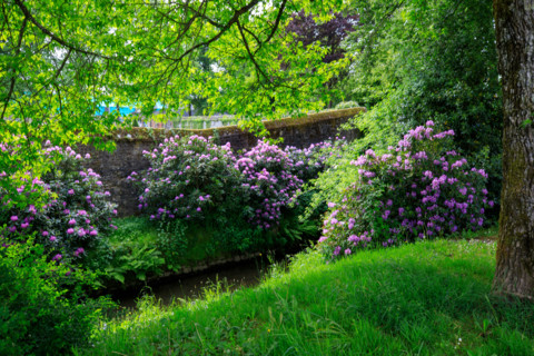 Flers, Orne, France