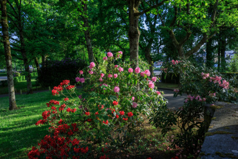 Flers, Orne