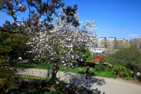 Paris, quai Saint-Bernard