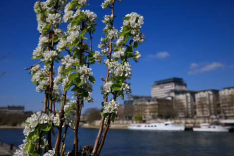 Paris, quai Saint-Bernard