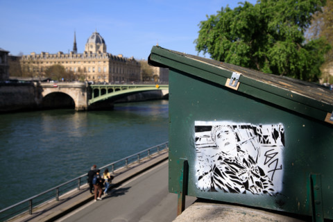 Paris, the quays of the Seine