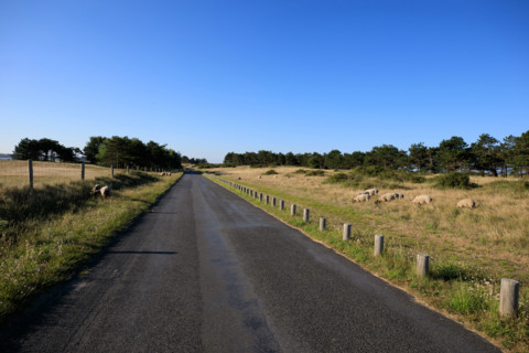 france, region Normandie, Manche, cotentin, Agon coutainville, pointe d'Agon,