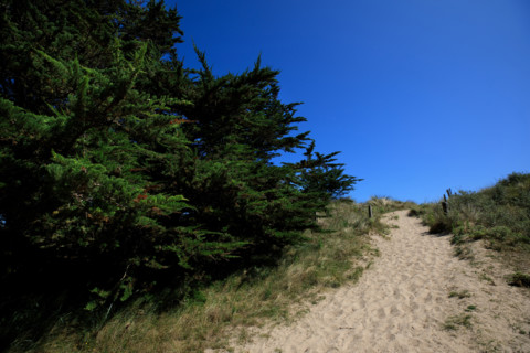france, region Normandie, Manche, cotentin, plages du debarquement, Sainte-Marie du Mont,  Utah