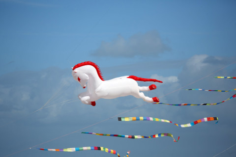 Dieppe, Dieppe International Kite Festival