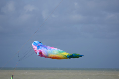 Dieppe, Dieppe International Kite Festival