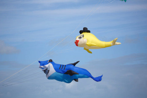 Dieppe, Dieppe International Kite Festival