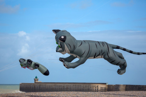 Dieppe, Festival international du cerf volant, édition 2025