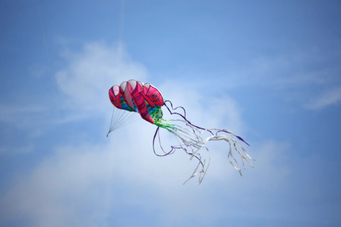 Dieppe, Dieppe International Kite Festival