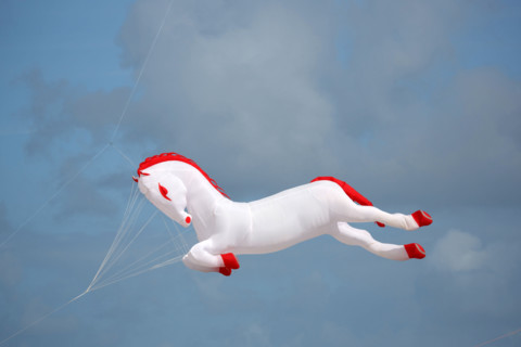 Dieppe, Dieppe International Kite Festival