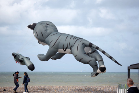 Dieppe, Dieppe International Kite Festival