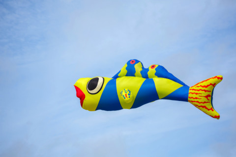 Dieppe, Festival international du cerf volant, édition 2025