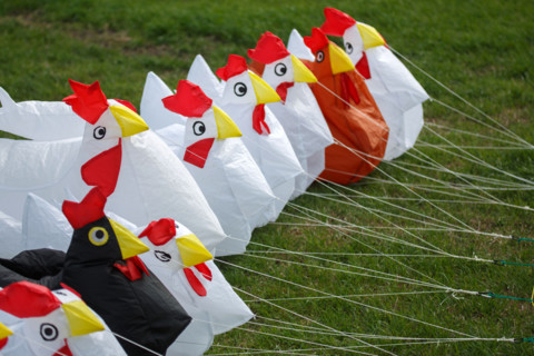 Dieppe, Dieppe International Kite Festival