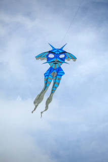 Dieppe, Festival international du cerf volant, édition 2025