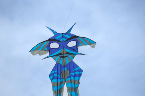 Dieppe, Dieppe International Kite Festival