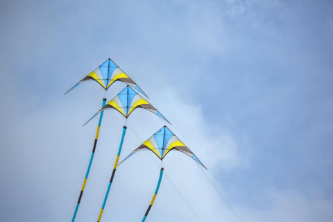 Dieppe, Festival international du cerf volant, édition 2025