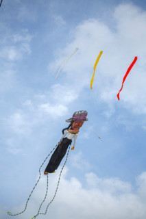 Dieppe, Festival international du cerf volant, édition 2025