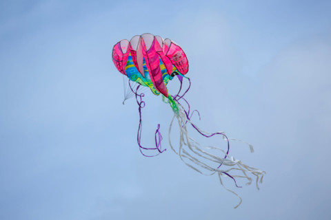 Dieppe, Dieppe International Kite Festival