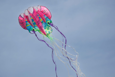 Dieppe, Dieppe International Kite Festival