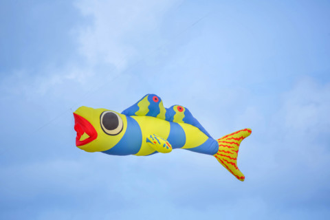 Dieppe, Dieppe International Kite Festival