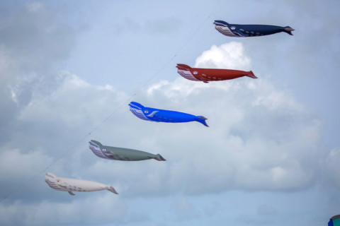 Dieppe, Dieppe International Kite Festival