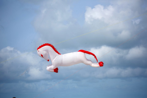 Dieppe, Dieppe International Kite Festival