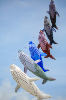 Dieppe, Dieppe International Kite Festival