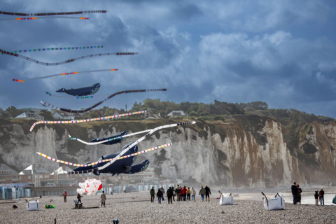 Dieppe, Dieppe International Kite Festival