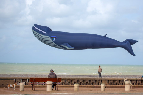 Dieppe, Dieppe International Kite Festival